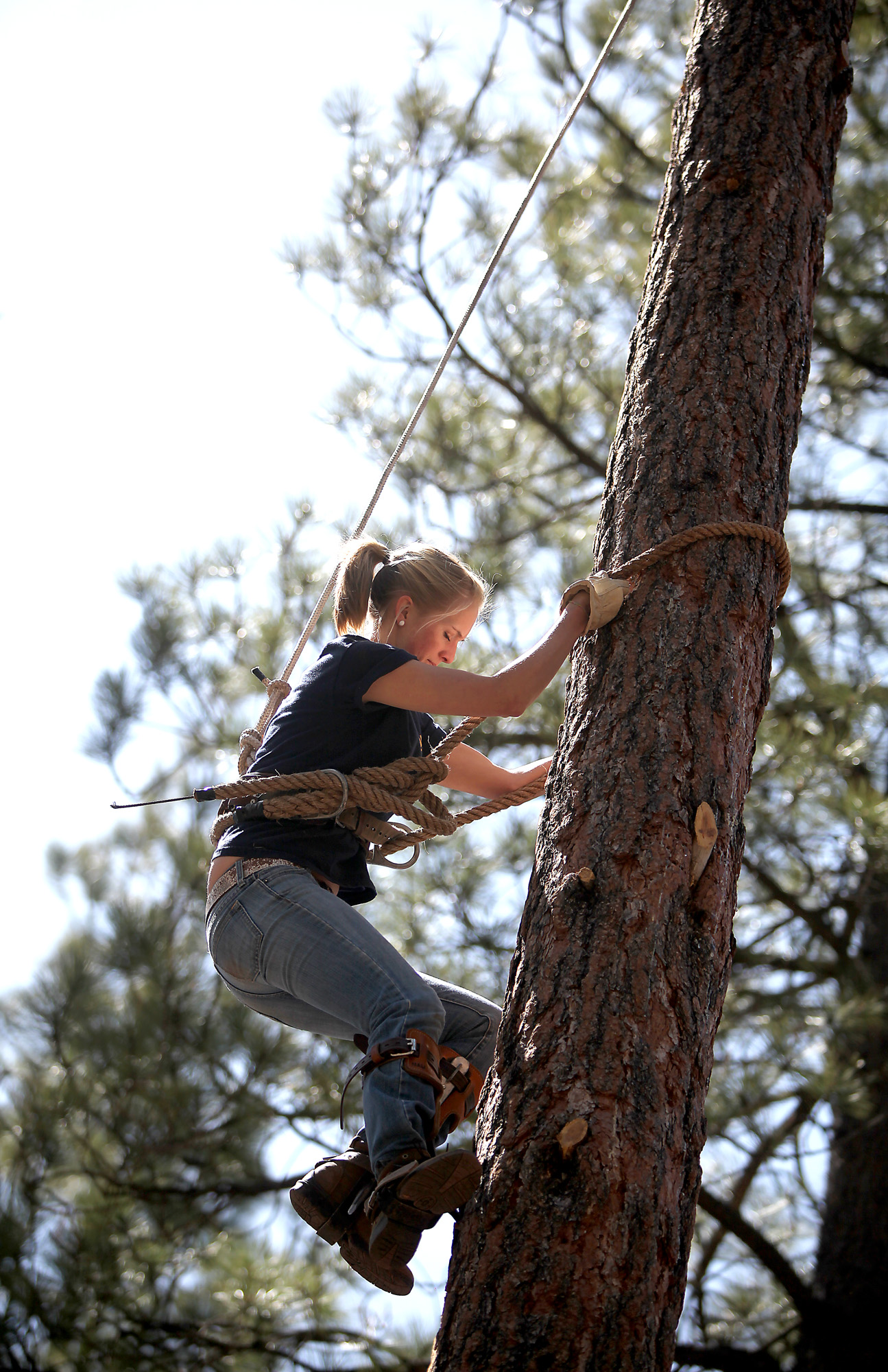 lumber-games-dayna-sallaway-tree-climbing1
