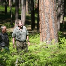 Researchers Study in the Land of the Giants