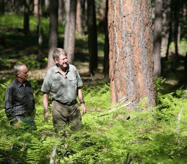 Researchers Study in the Land of the Giants