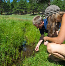 SRP and NAU to Study Effects of Forest Restoration