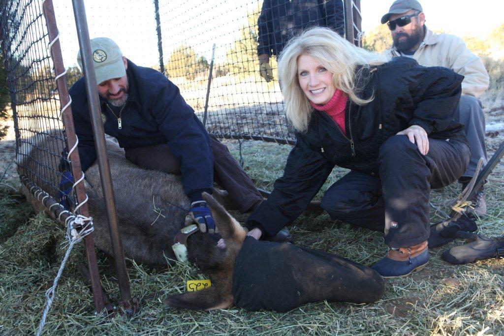 bonnie-with-elk-february-2011