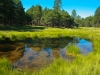 wet-meadow-flagstaff1