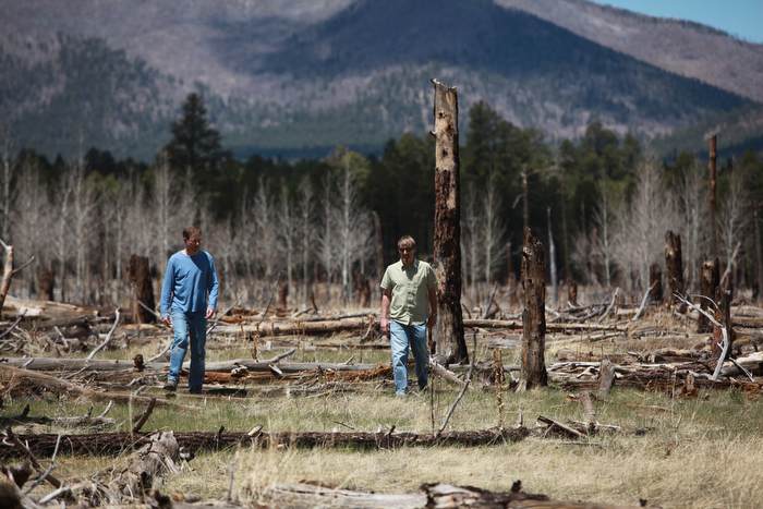 Crown Fires and Greenhouse Gases