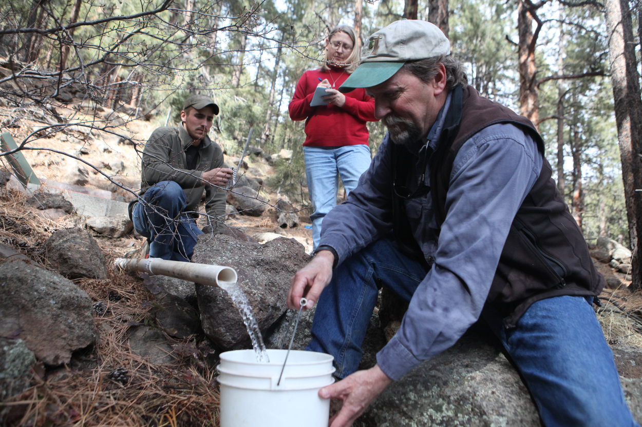 Lost Springs on Rebound